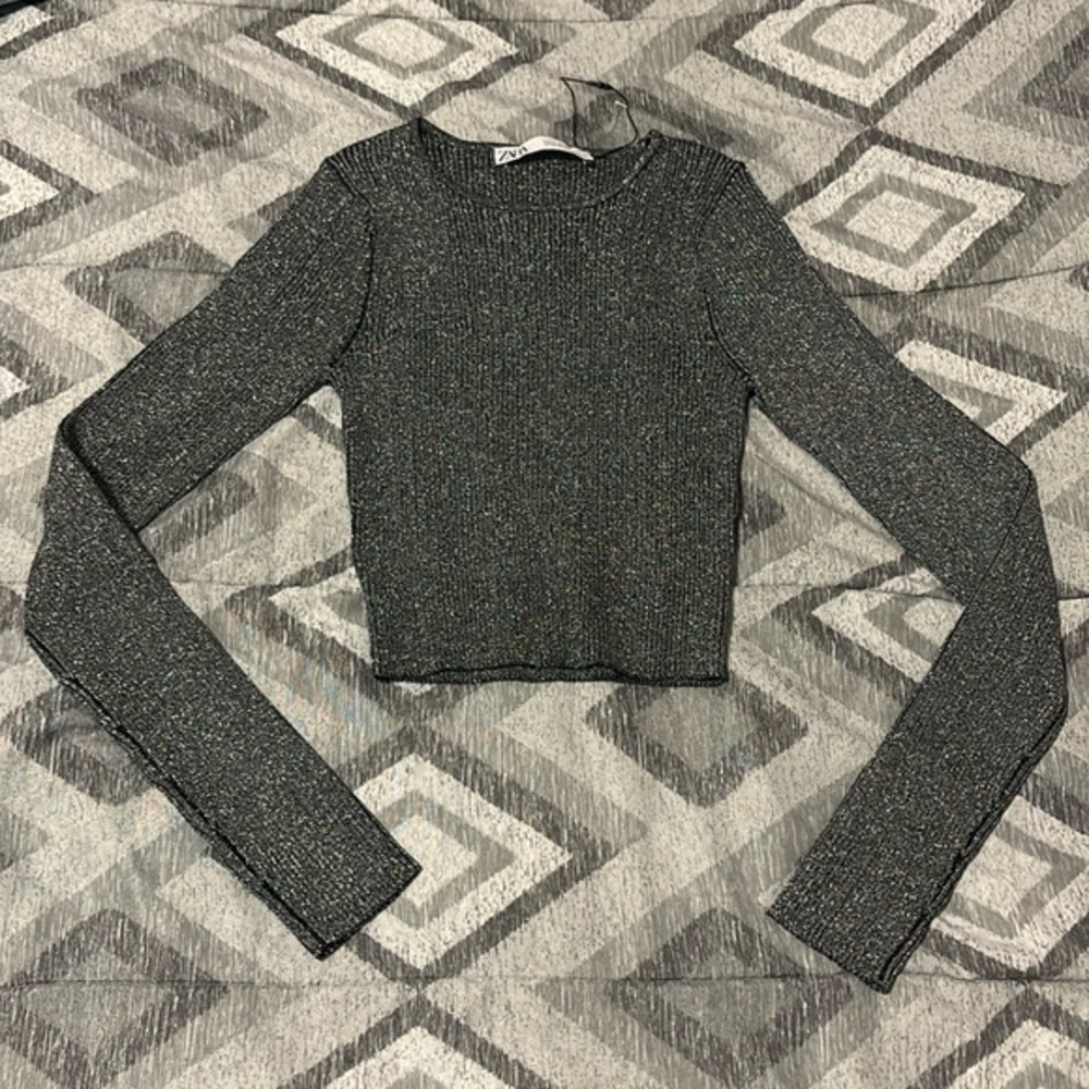 NWOT Zara Silver Metallic Ribbed Cropped Top